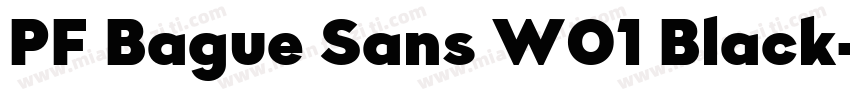 PF Bague Sans W01 Black字体转换
